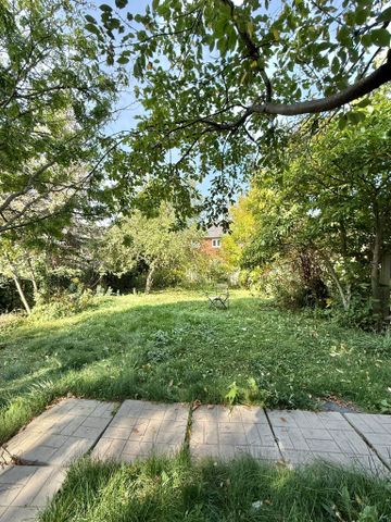 For Lease - 167 Downey Circle Unit# BSMT, Aurora, Ontario - Photo 4