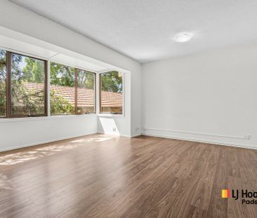 Light-Filled One-Bedroom Unit in Ashfield - Photo 1