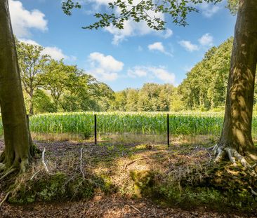 TE HUUR : Zeer recente luxe woning gelegen in een uniek en privatie... - Foto 3