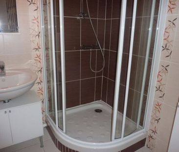 Location Appartement 1 pièce 29m² ANGERS 49100 - Photo 4