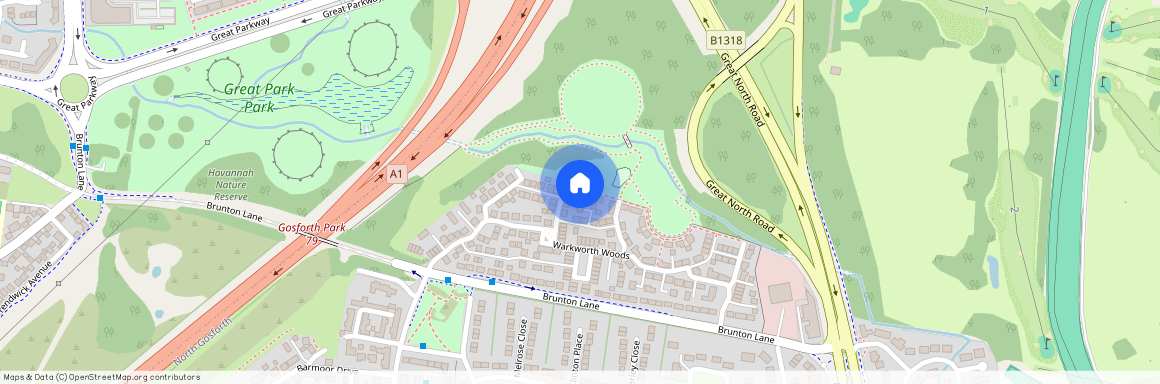 Warkworth Woods, Newcastle Upon Tyne