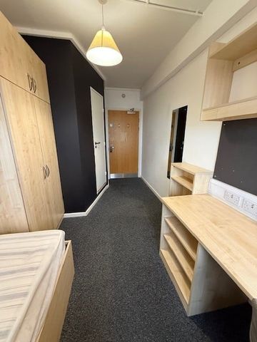 Room in a Shared Flat, Jennens Road, B4 - Photo 4