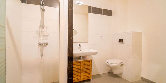 Location Appartement 1 pièce 22m² - Photo 3