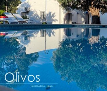 Alquiler de casa o chalet independiente en El Higuerón - Capellanía - Photo 4