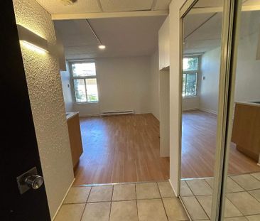 Studio - Saint-Charles-Borromée - $1,049 /mo - Photo 4