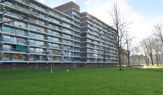 Belvédèrebos 0ong, 2715 VP Zoetermeer, Nederland - Foto 1