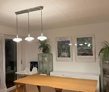 3.5 Zimmer, 87 m², 3. Stock - Foto 2