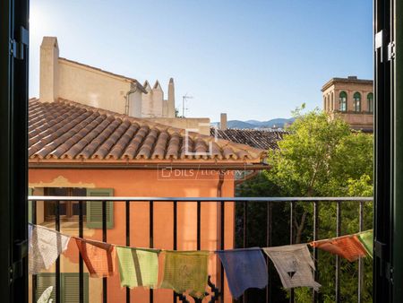 Excellent 2 Bedroom apartment for rent in Palma de Mallorca, Balearic Islands - Photo 2