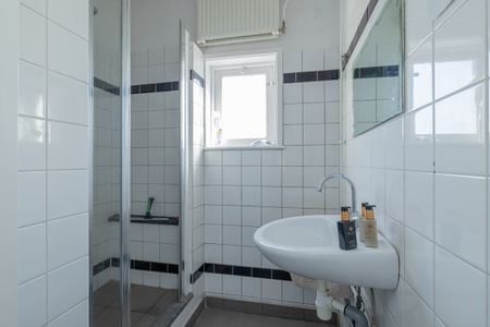 Roomburgerlaan - Photo 5