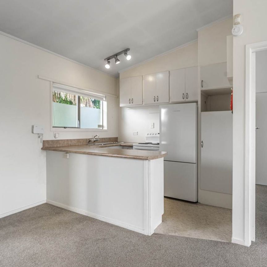 Bright one bedroom in Mt Eden - Photo 1