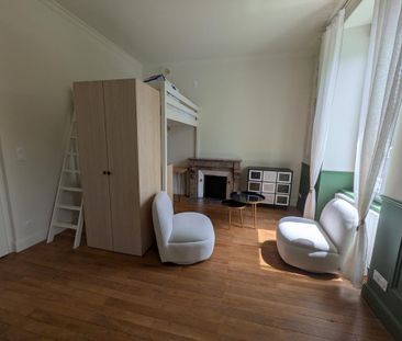 Location Appartement 1 pièce Meublé 23m² ANGERS 49100 - Photo 2