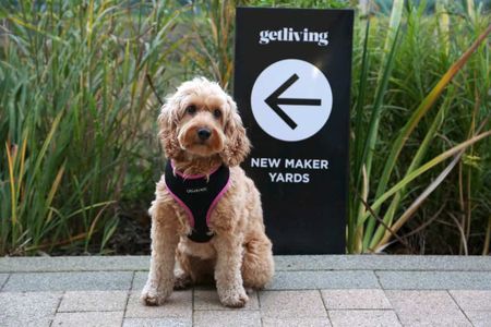 Chalk, M5 4RQ, Manchester - Photo 3