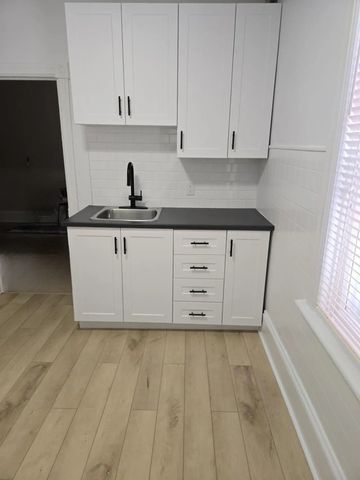 For Lease - 158 St Andrew Street Unit# 1, Lower Town - Sandy Hill, Ontario - Photo 2