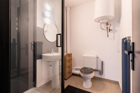 Location Appartement 1 pièce Meublé 25m² ANNECY 74000 - Photo 3