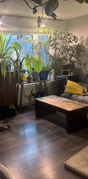 GRAND 5 ½ À LOUER – FLEURIMONT – DISPONIBLE MAINTENANT - Photo 1