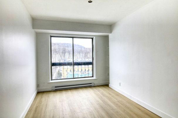 1 Cote-Sainte-Catherine, Montréal, QC - Photo 1