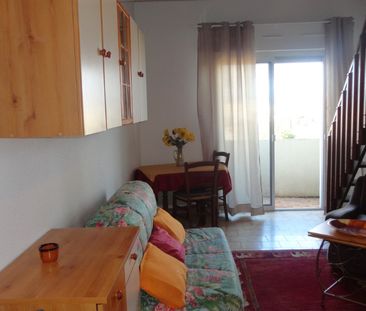 Location Appartement 1 pièce Meublé 29m² PERPIGNAN 66000 - Photo 1