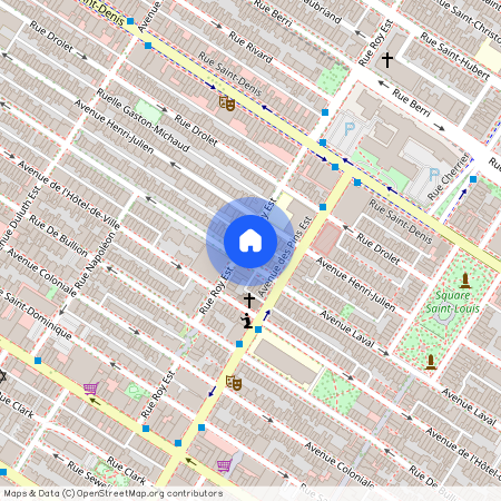 254 Rue Roy Est - 254 Roy Est, Montréal, QC H2W 1M6