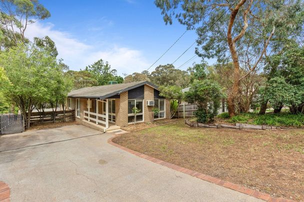 14 Cressy Street, Montmorency - Photo 1