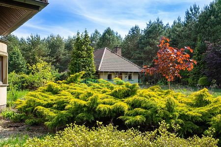 Żyrardowski, Mszczonów, Pieńki Osuchowskie - Photo 4