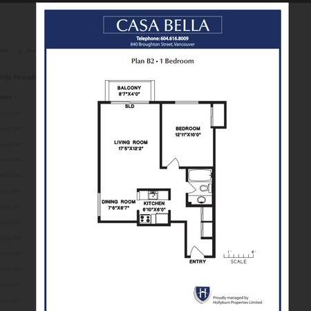 Unfurnished 1 bedroom at Casa Bella available for March 1st, 2025 - Photo 4