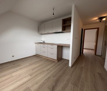 Location Appartement 1 pièce 25m² ST LOUIS 68300 - Photo 1