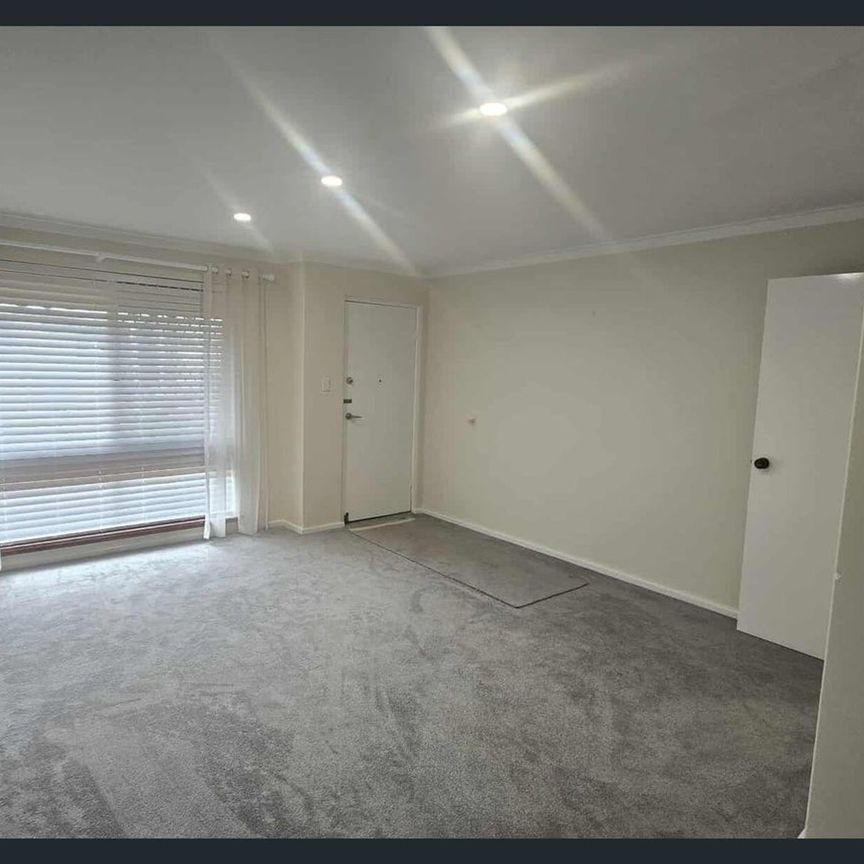 Over 55's Complex - Renovated Unit - Lovely Complex - Photo 1