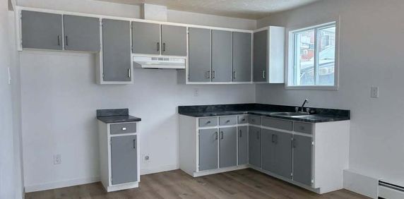 BEAU 4 1/2 | CHAUFFAGE & EAU CHAUDE - Photo 2