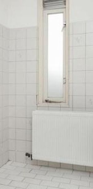 Barentszstraat 1013 LC Amsterdam - Foto 2