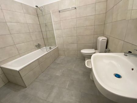 2 locali luminoso in centro Tenero (Migros) - Foto 3