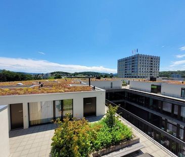 2.5-Zimmerwohnung in Windisch mieten - Foto 6