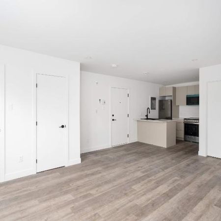 1 CH - 1 SDB - Montreal - $1,195 /mo - Photo 3