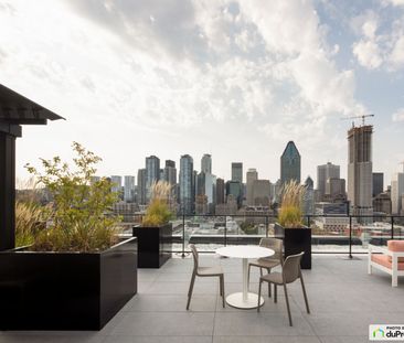 235, rue Young - 3 1/2 - Griffin Square, Griffintown à louer - Photo 6