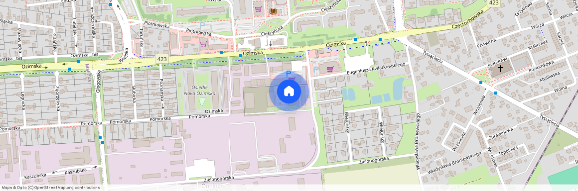 ul. Harcmistrza Aleksandra Kamińskiego 6, Kolonia Gosławicka, Opole, opolskie