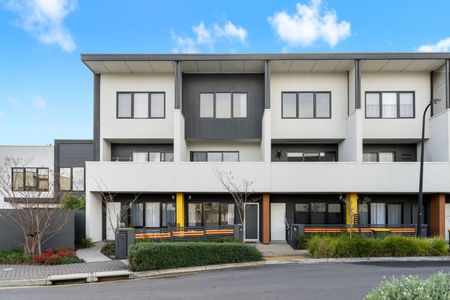 54 Steeplechase Avenue, St Clair SA 5011 - Townhouse For Rent | Domain - Photo 2