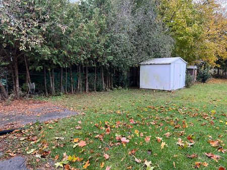 For Lease - 43 Maple Grove Avenue Unit# Basement, Richmond Hill, Ontario - Photo 5