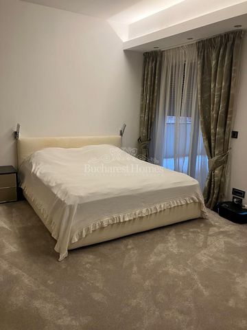 Large Four Bedroom Apartment for Diplomat - Herastrau Park - Photo 3