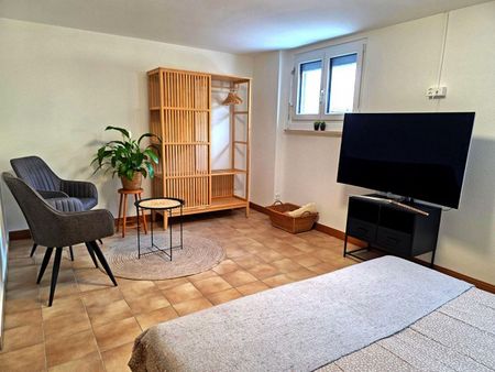 Two-room apartment with terrace and private entrance in Losone, ideal for short to medium-term stays - Photo 2