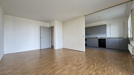 Lichtdurchflutete Wohnung am Stadtrand von Basel - Foto 4