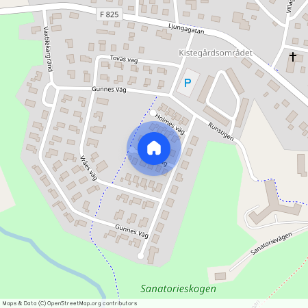 Sylvas väg, Sävsjö