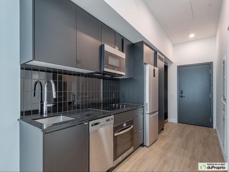 1200, Ste-Élisabeth, Ville-Marie (Centre-Ville et Vieux-Montréal) à louer - Photo 4