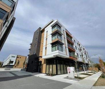 Douglas Green Living Brand New 1 Bed 1 Bath Condo - Photo 2