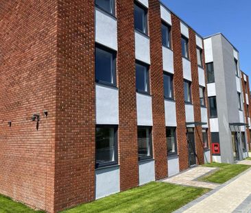 2 bedroom maisonette to rent - Photo 6