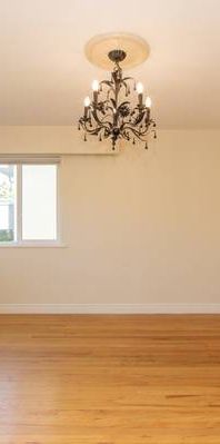 *Expansive 3BR/1BA; Bright, Stylish, and Steps to Everything!* - Photo 1