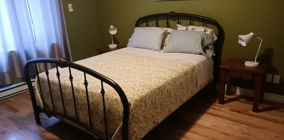 location saison d'hiver et plus - Photo 2