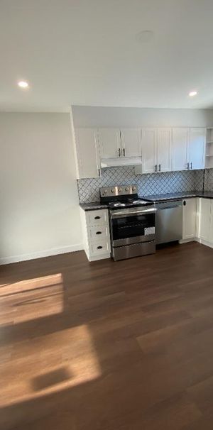 Grand 4½ entièrement rénové avec jardin privé – 5 électroménagers inclus – Rosemont - Photo 1