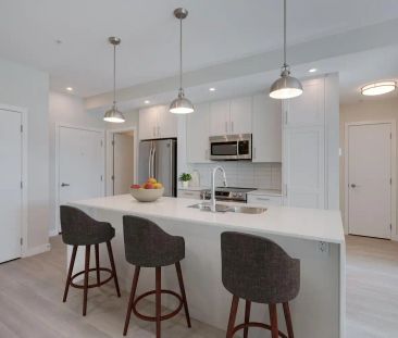 Vic on Fifth — 2 Bed 2 Bath - Penthouse - Photo 6