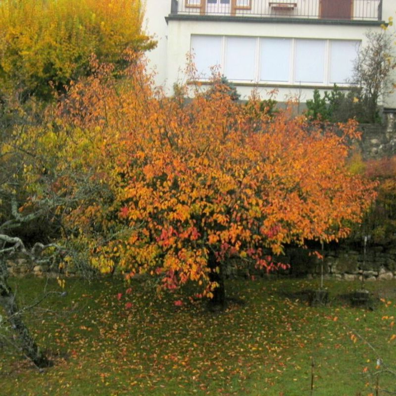 2-Zimmer-Wohnung - Photo 1