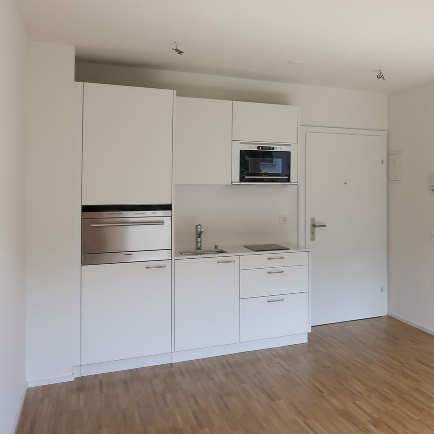 Moderne 1-Zimmerwohnung beim Claraplatz - Foto 1