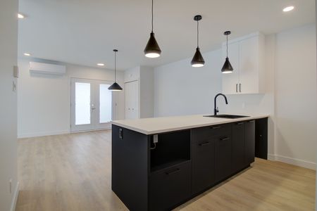50, rue Michel-Robidoux #202, East-Angus - Photo 5